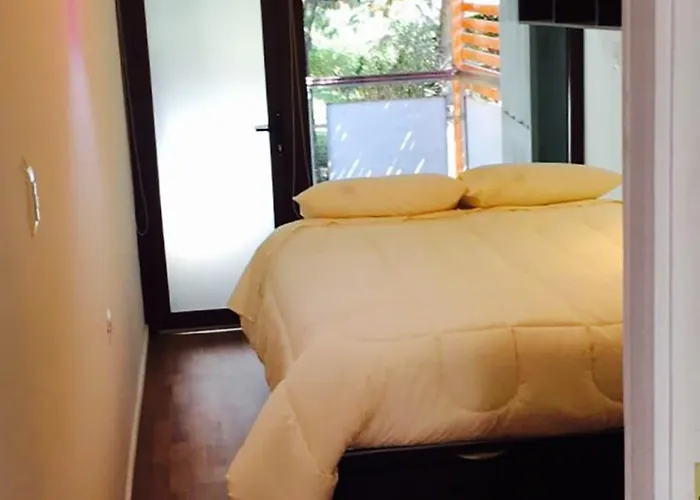 Cabanas Pucon - 3 Tipos Para 2 O 4 Personas